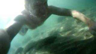 preview picture of video 'Free diving on Elba island Italy'