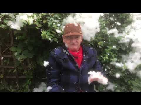 Geraint Watkins Official Video: Christmas Day All Over The World