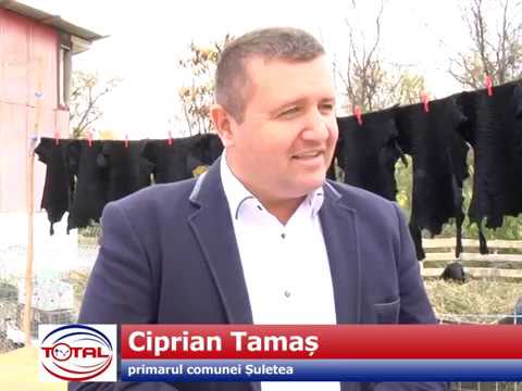 Ziua Recoltei la Șuletea