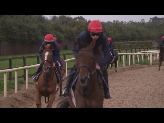 The Racing Academy & Centre of Education (RACE)