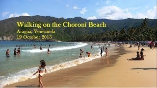 preview picture of video 'Walking on the Choroní Beach, Venezuela'