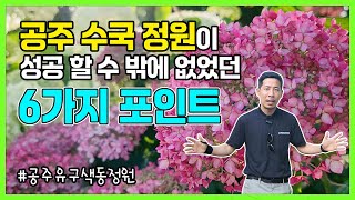 공주 유구색동수국정원이 성공한 6가지이유!