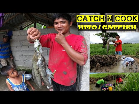 e33 Panlilimas ng Malalaking Hito & Dalag #howto