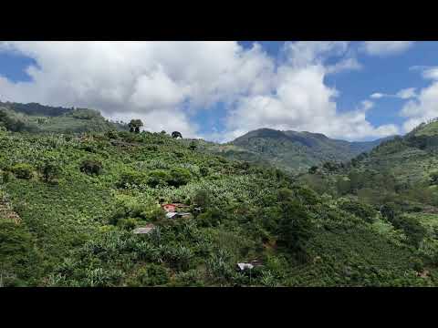img-video