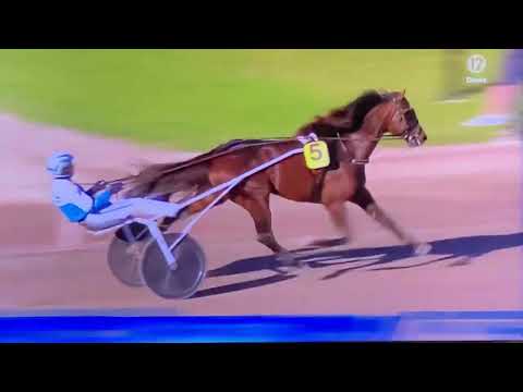 V75 Jägersro Svenskt Travderby 2022 Francesko Zet