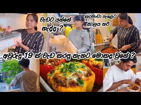 අවුරුදු 19 ක් එකම තැන වැඩ කරේ මම ♥️| Life in japan 🇯🇵🇱🇰