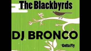 Blackbyrds - I Need Your Love