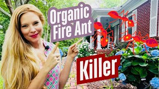 The Organic FIRE ANT HACK A Lot of People Don’t Know About