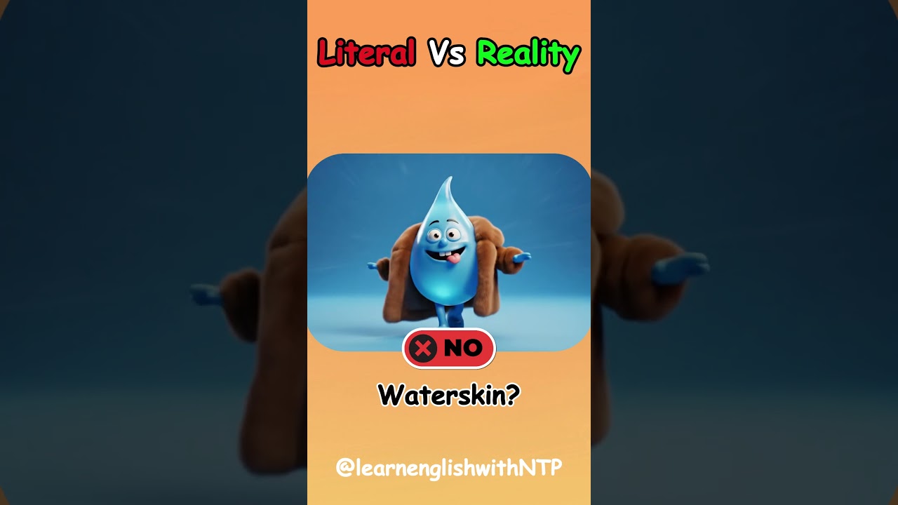 1+ Best of the Literal Vs Reality English Compound Words-522