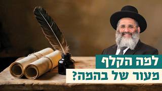 למה הקלף מעור של בהמה? | רגע של אור עם מו"ר הרב ישראל אברג'ל שליט"א