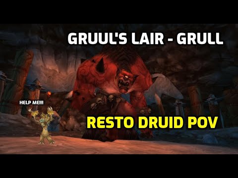 World of Warcraft - TBC Classic - Gruul's lair - Gruul - Healer Resto Druid Gameplay
