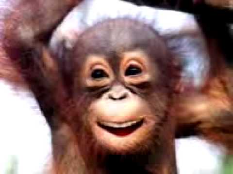 Happy birthday funny