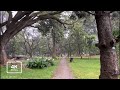Walk In Rain Rainy Day In Bangalore India Rain And Nature Sounds 4k ASMR