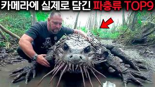 Download lagu Mysterious animals and events in the Amazon that remain unexplained to this day. mp3