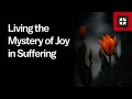 Living the Mystery of Joy in Suffering