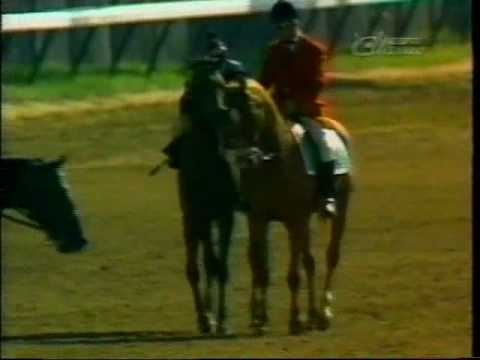 Spectacular Bid