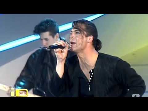 WE NEED PROTECTION (PICNIC AT THE WHITEHOUSE)