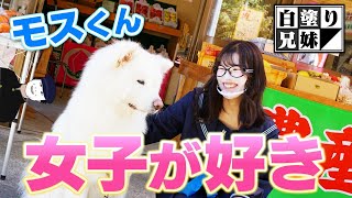 歌川果樹園の看板犬「モスくん」に会いに行ってきた…けど…？