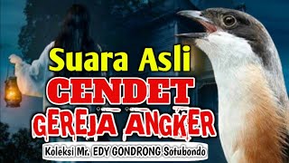 Download lagu CENDET MATERI GEREJA SUPER MEWAH DARI SITUBONDO mp3