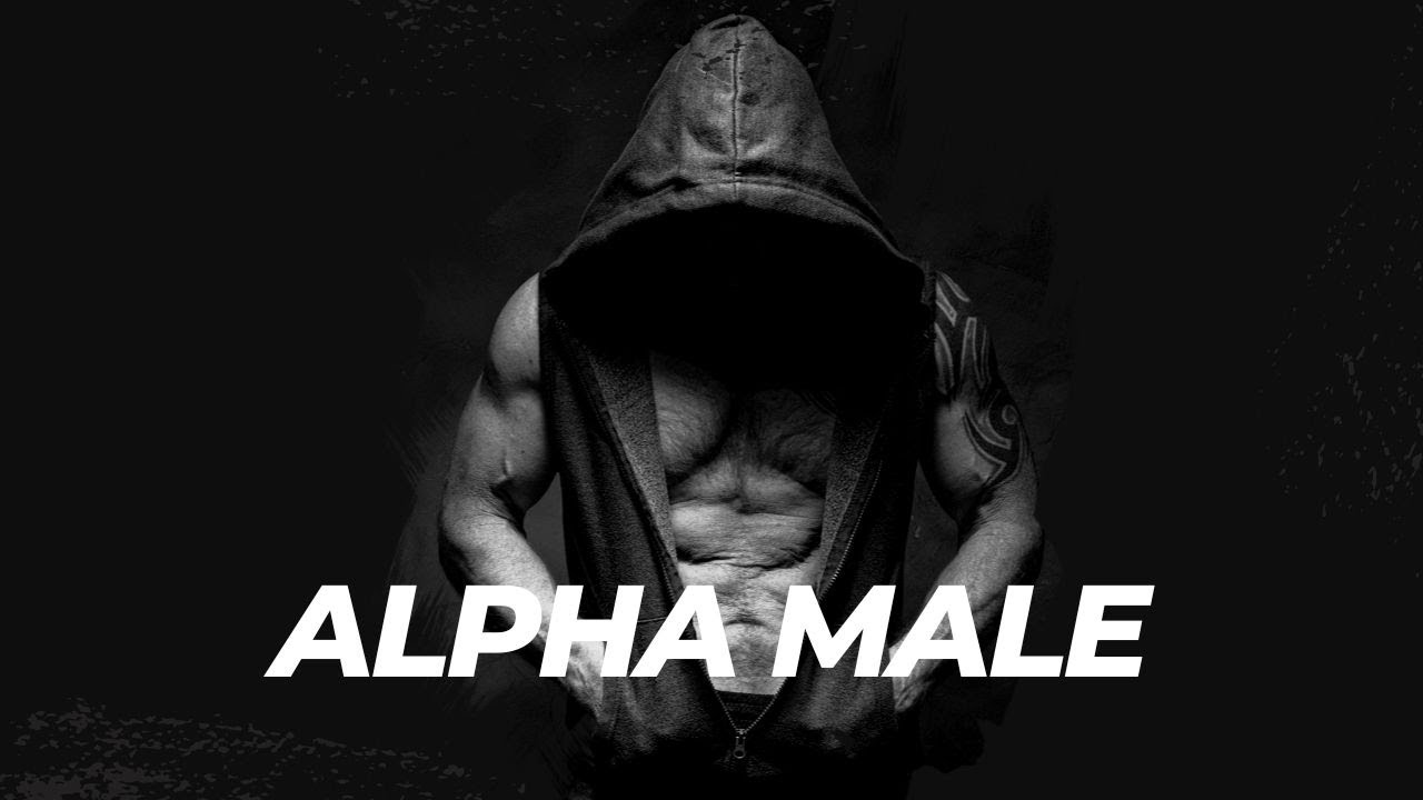Exploring the Alpha Male: Understanding the Dominant Male Personality