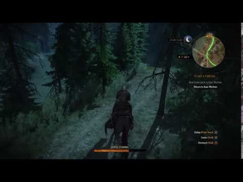The Witcher 3: Wild Hunt – To Bait a Forktail
