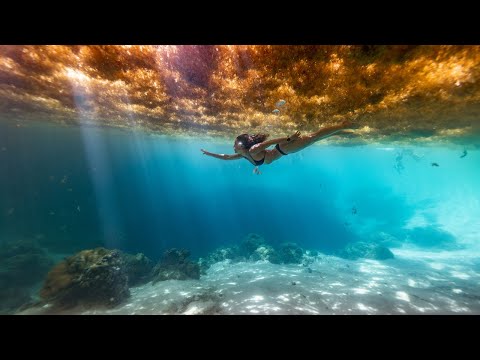 Vertical Blue 2022 - Act II