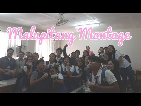 Montage | Grade 12 kool kidz