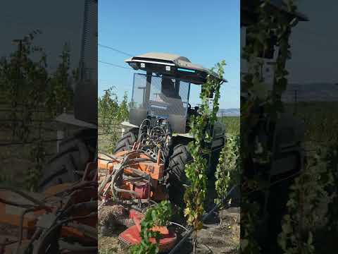 “Will It Last a Full Workday?” Monarch Tractor and Beckstoffer Vineyard #shorts