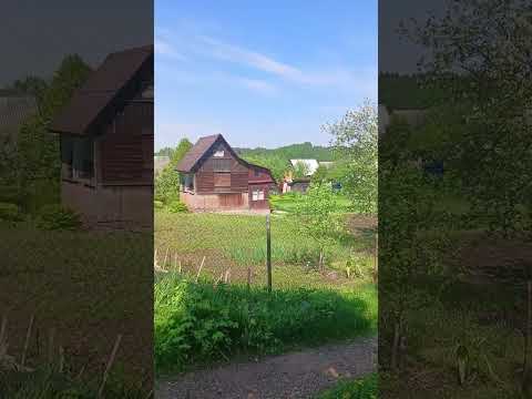 фото садоводческое товарищество судники, мазоловский сельсовет, витебский район, витебская область,  0