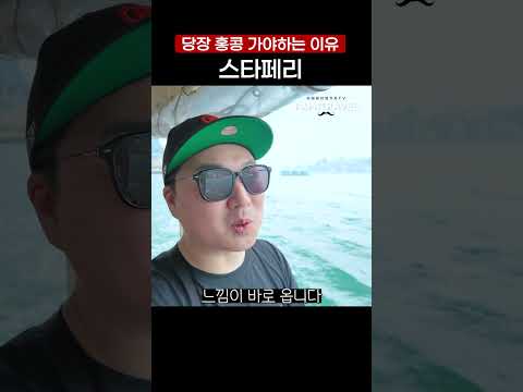 홍콩 스타페리 이용 가이드: 홍콩에서 놓치면 안 될 최고의 경험