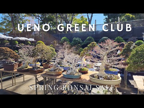 Ueno Green Club - Spring Bonsai Sale (立春盆栽大市）