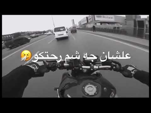 مهرجان انا قلبي ابن الفتاكه حلات وتساب