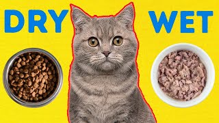Dry Cat Food vs. Wet Cat Food: Which One Actually Keeps Cats Healthier?