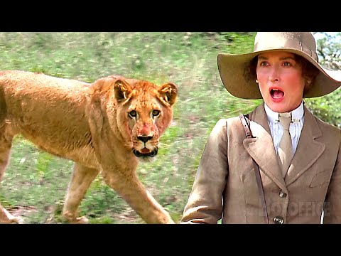 Ahnungsloser Adliger steht einem wilden Tier gegenüber | Jenseits von Afrika | German Deutsch Clip