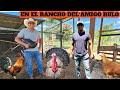 Visiting Friend Rulo S Ranch Farm Animals Sheep Turkeys Chickens Rabbits Ducks