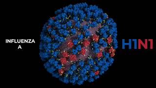 Newswise:Video Embedded computer-model-of-influenza-virus-shows-universal-vaccine-promise