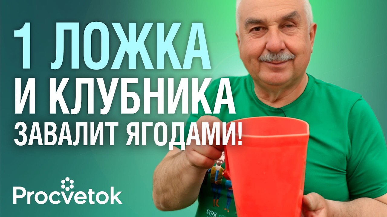 КЛУБНИКЕ В МАЕ ОБЯЗАТЕЛЬНО дайте эту подкормку и она засыплет вас сладкими и крупными ягодами!