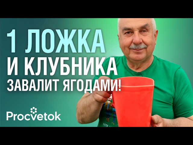 КЛУБНИКЕ В МАЕ ОБЯЗАТЕЛЬНО дайте эту подкормку и она засыплет вас сладкими и крупными ягодами!