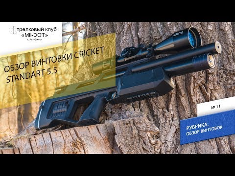 Для чего нужен буллпап или обзор крикет 5,5