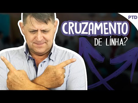 PTD nº 435 - Exu baixou na gira de Preto Velho. É cruzamento de linha?