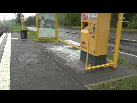 Wer hat da zu wenig Hirn? (Gera, 14.06.2020)