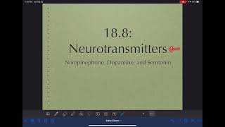 46: Neurotransmitters