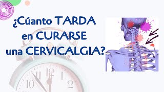 📌¿CUANTO TARDA en CURARSE una Cervicalgia 🌻🌞🍂❄️