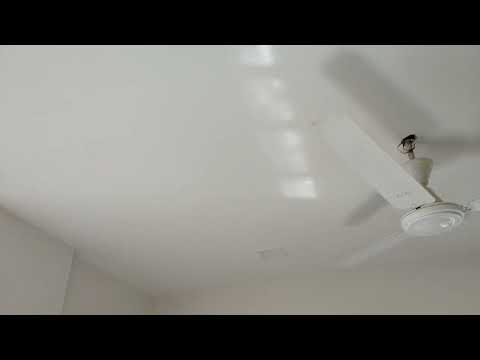 Painting Contractor