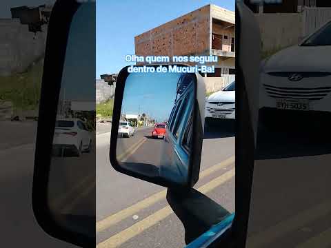 Vejam só quem nos seguiu dentro de Mucuri-Ba!!! #kombihome #fusca #mucuri #bahia