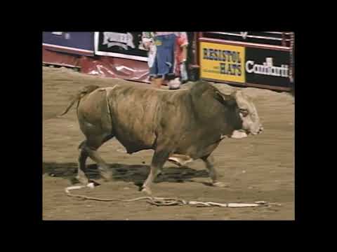 Zandy bucks Fabricio Alves - 99 PBR Laughlin