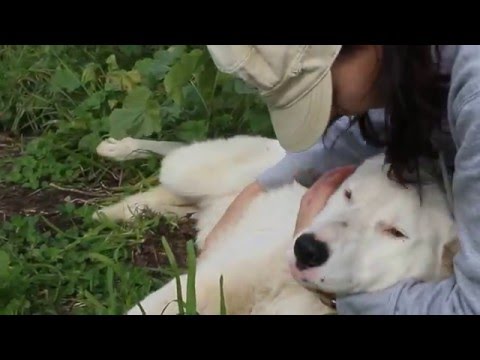 Vídeo de NUVEM