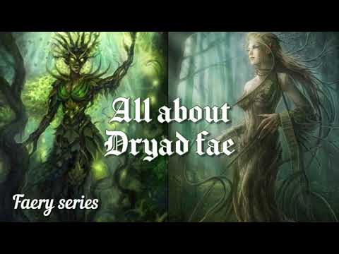 All about dryad faeries - faery series