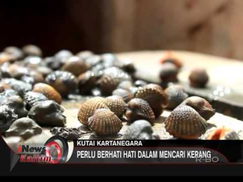 Bagaimana menggunakan penis kecil Emas akar tingtur untuk meningkatkan potensi