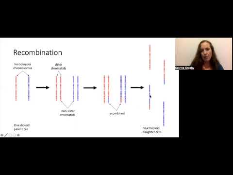 Introduction to Genetic Relatedness